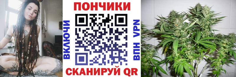 Шишки марихуана конопля  купить наркоту  Гусиноозёрск 